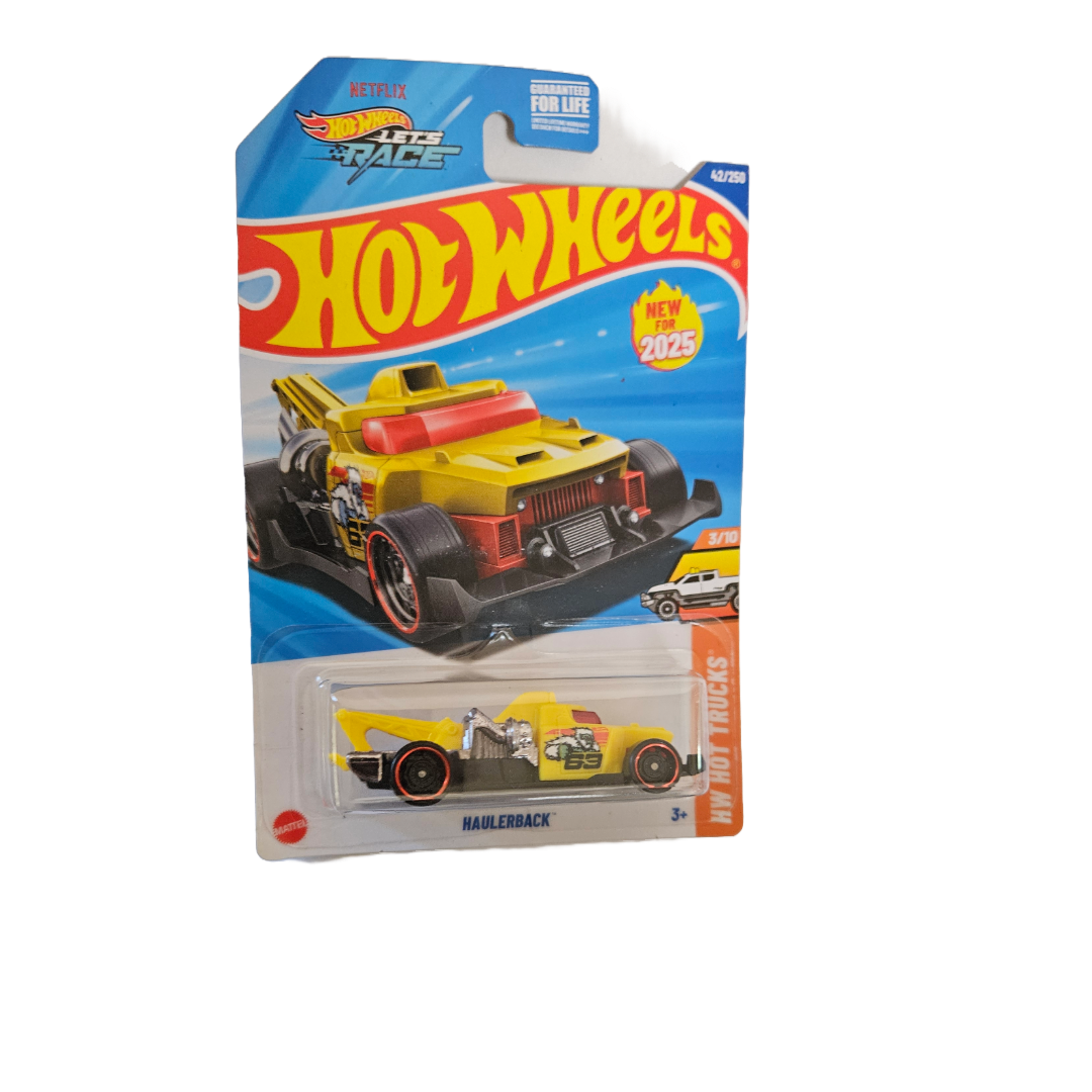 Hot Wheels 1:64 Diecast Cars - Little Explorers Toy Shop