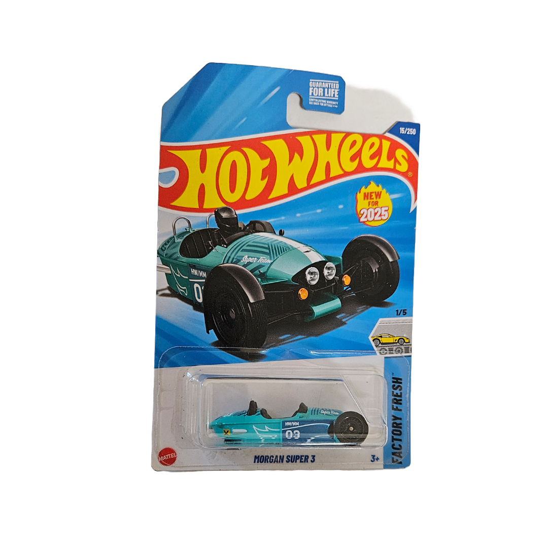 Hot Wheels 1:64 Diecast Cars - Little Explorers Toy Shop