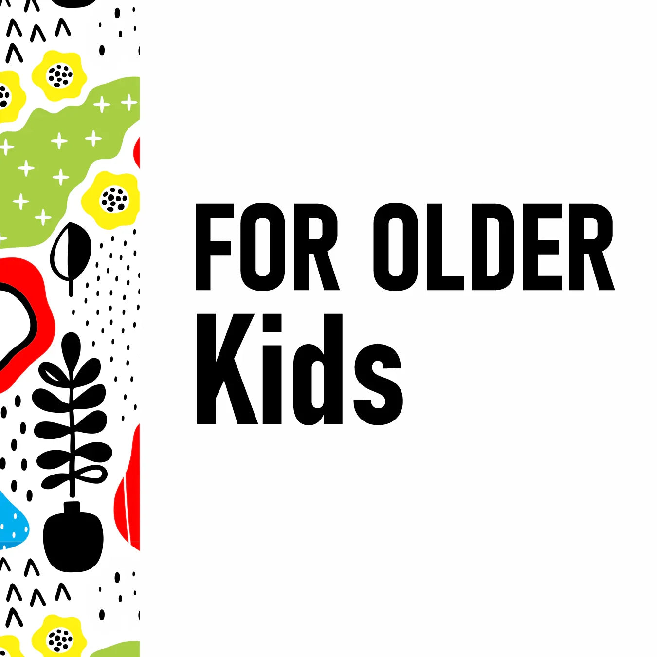 For Older Kids - Little Explorers Toy Shop