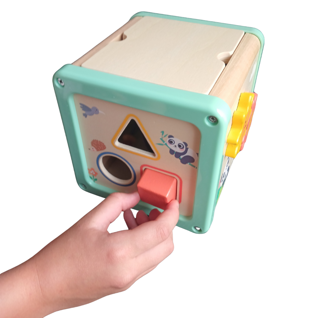 Hi Pando 5-in-1 Wooden Activity Play Cube