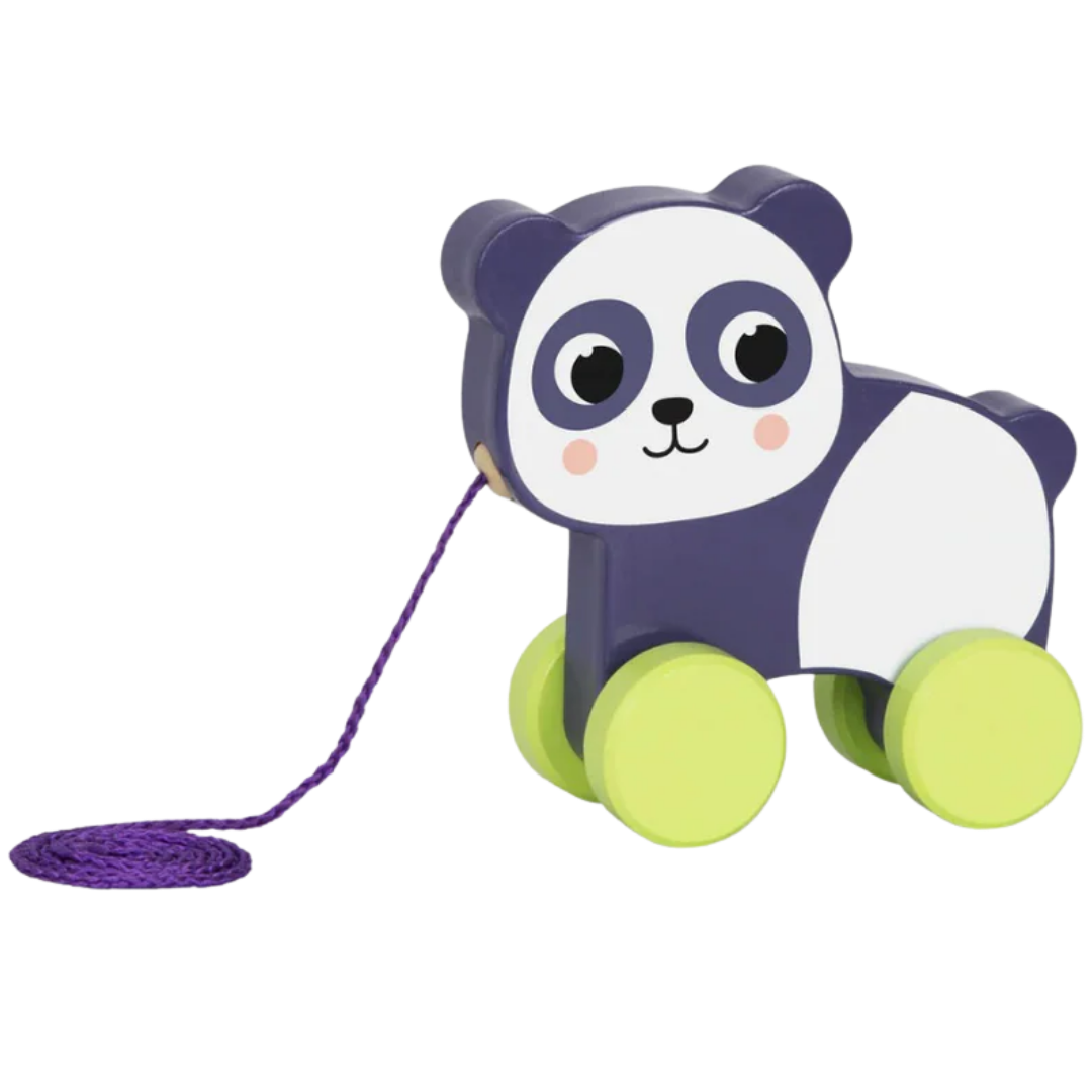 Hi Pando Wooden Pull Along Toy: First Steps Friend