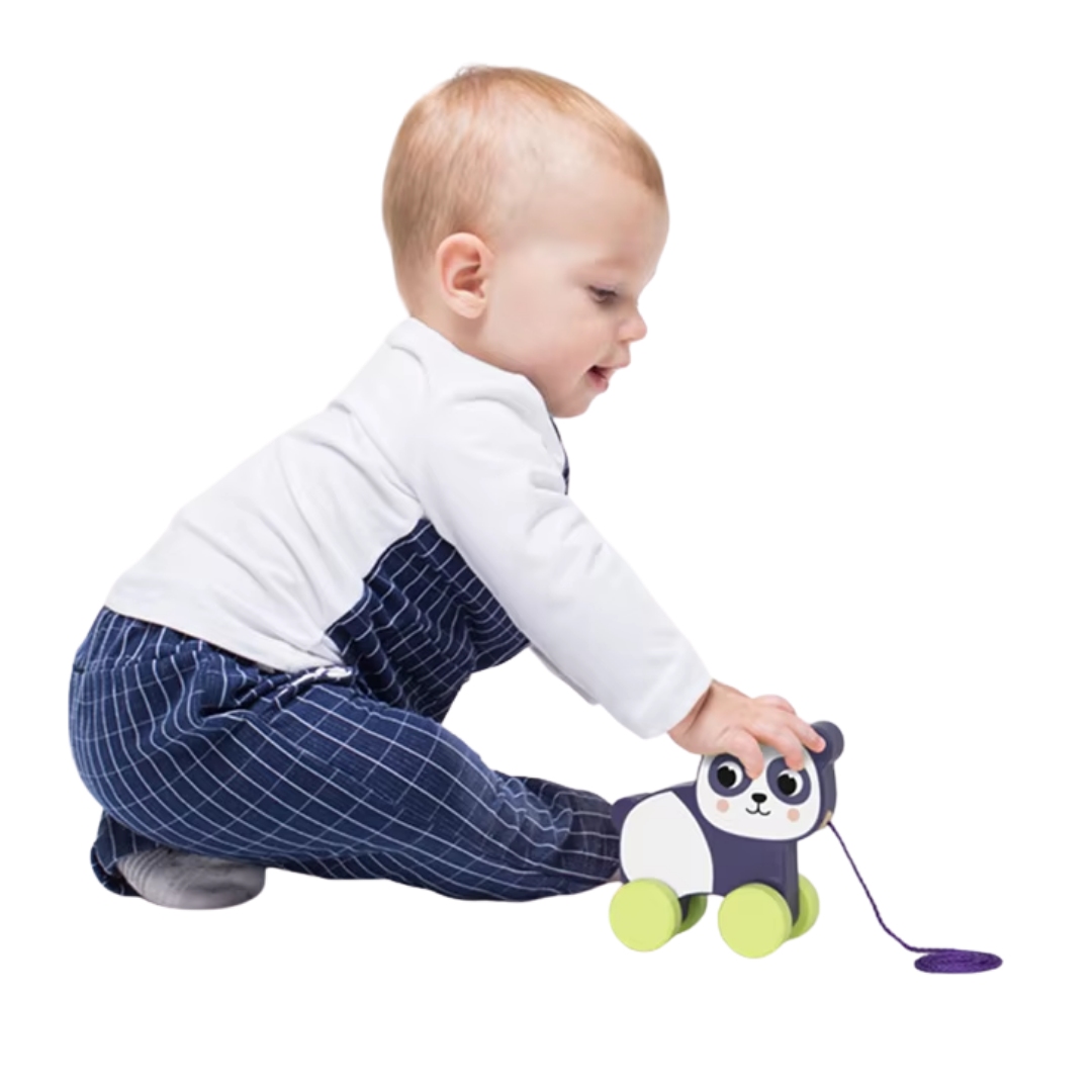 Hi Pando Wooden Pull Along Toy: First Steps Friend