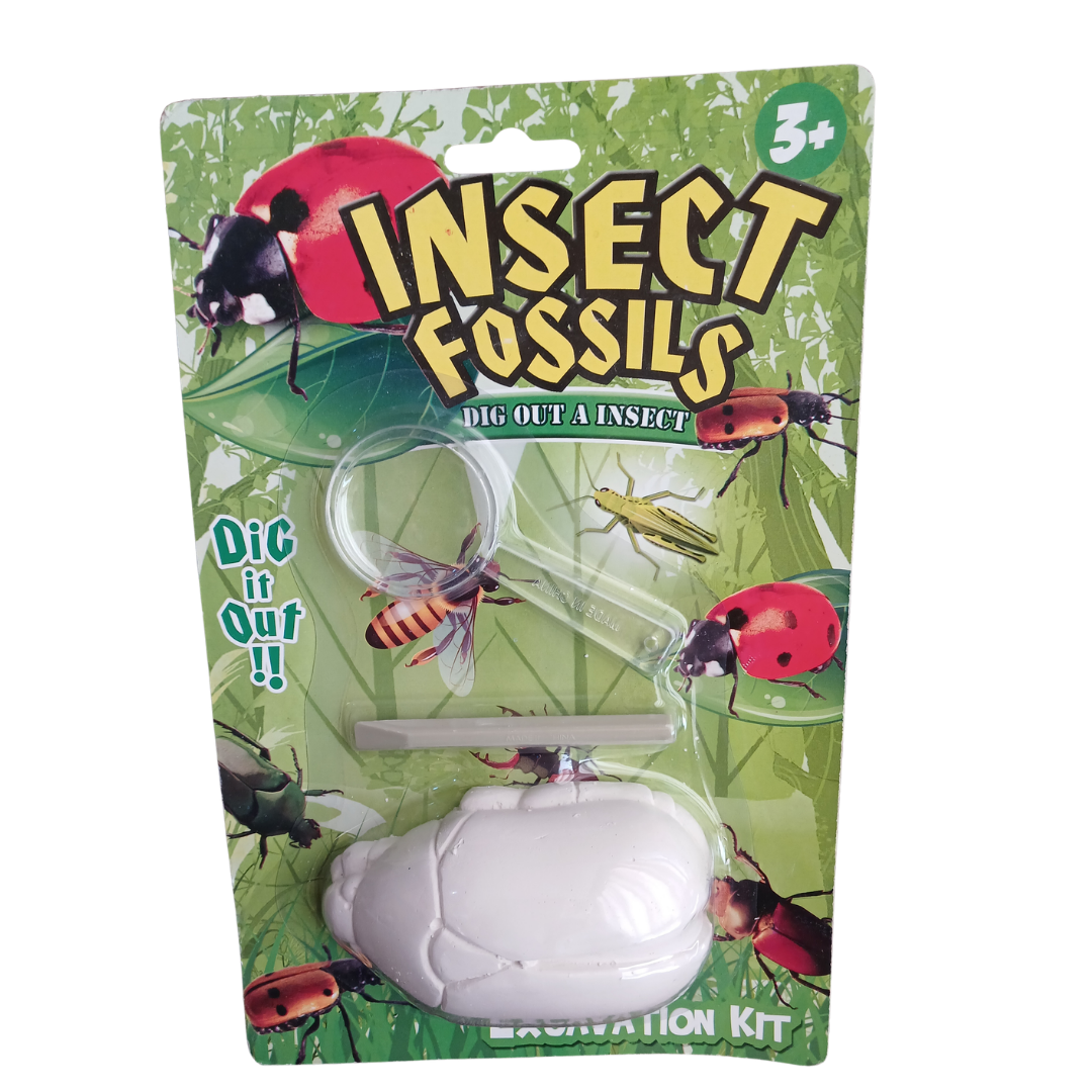 Insect Fossils Dig Out Kit showing a white beetle-shaped excavation block, a plastic chisel tool, and a magnifying glass against a green background with ladybugs.