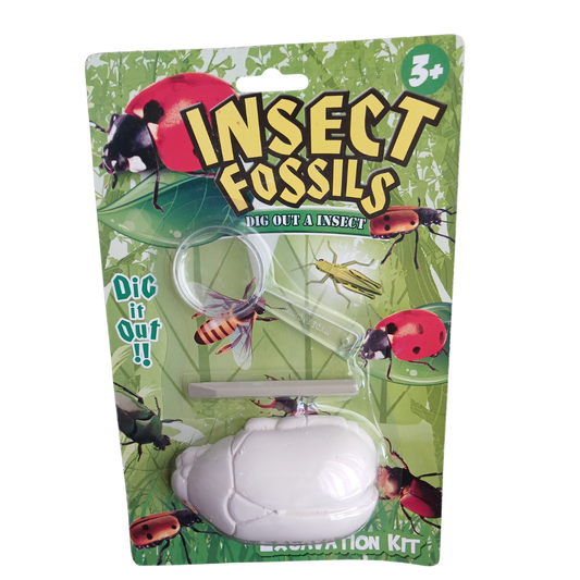 Insect Fossils Dig Out Kit showing a white beetle-shaped excavation block, a plastic chisel tool, and a magnifying glass against a green background with ladybugs.